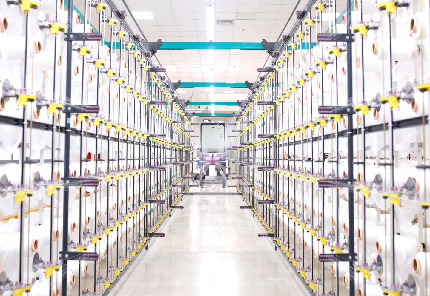 台灣百合-四折頁-C-01 台灣百合-四折頁-C-01