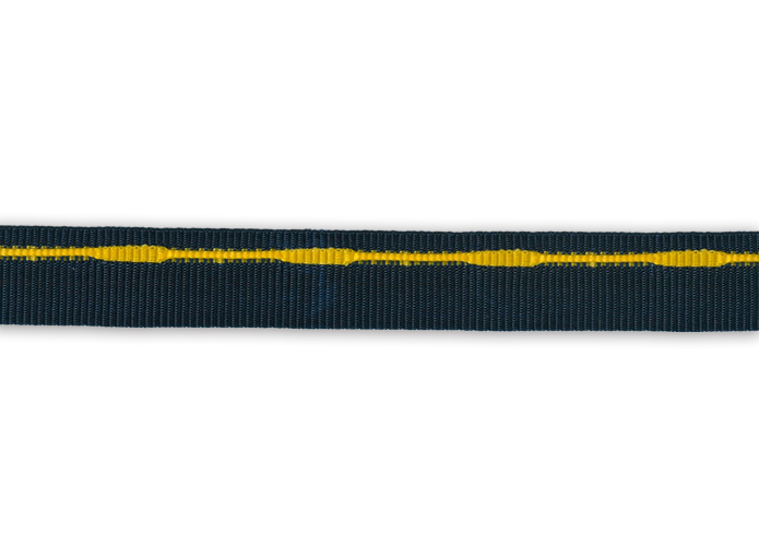 CN6456 (blue/yellow)