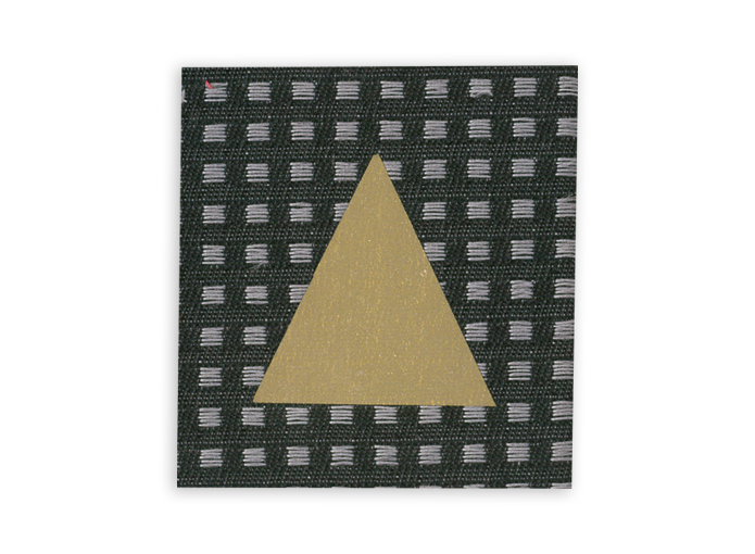 MGR31 (triangle)