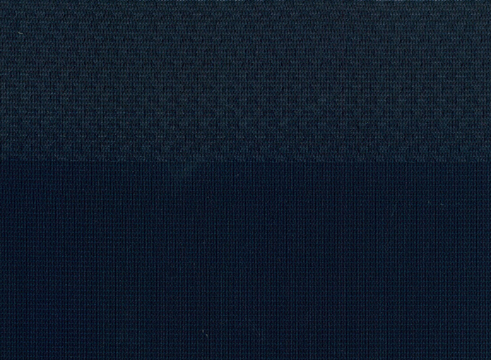 STG19-1 (salvia blue)